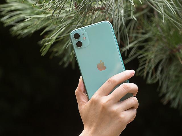 �e؝���ˣ�iPhone 11�@Щ���}̫������߀����iPhone 8